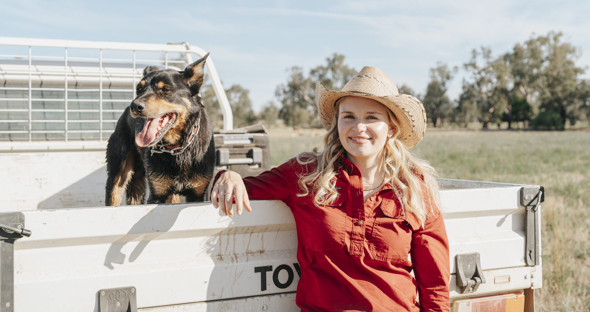 Holly Wilson is bringing smart data management practices to her family's poll dorset stud operation