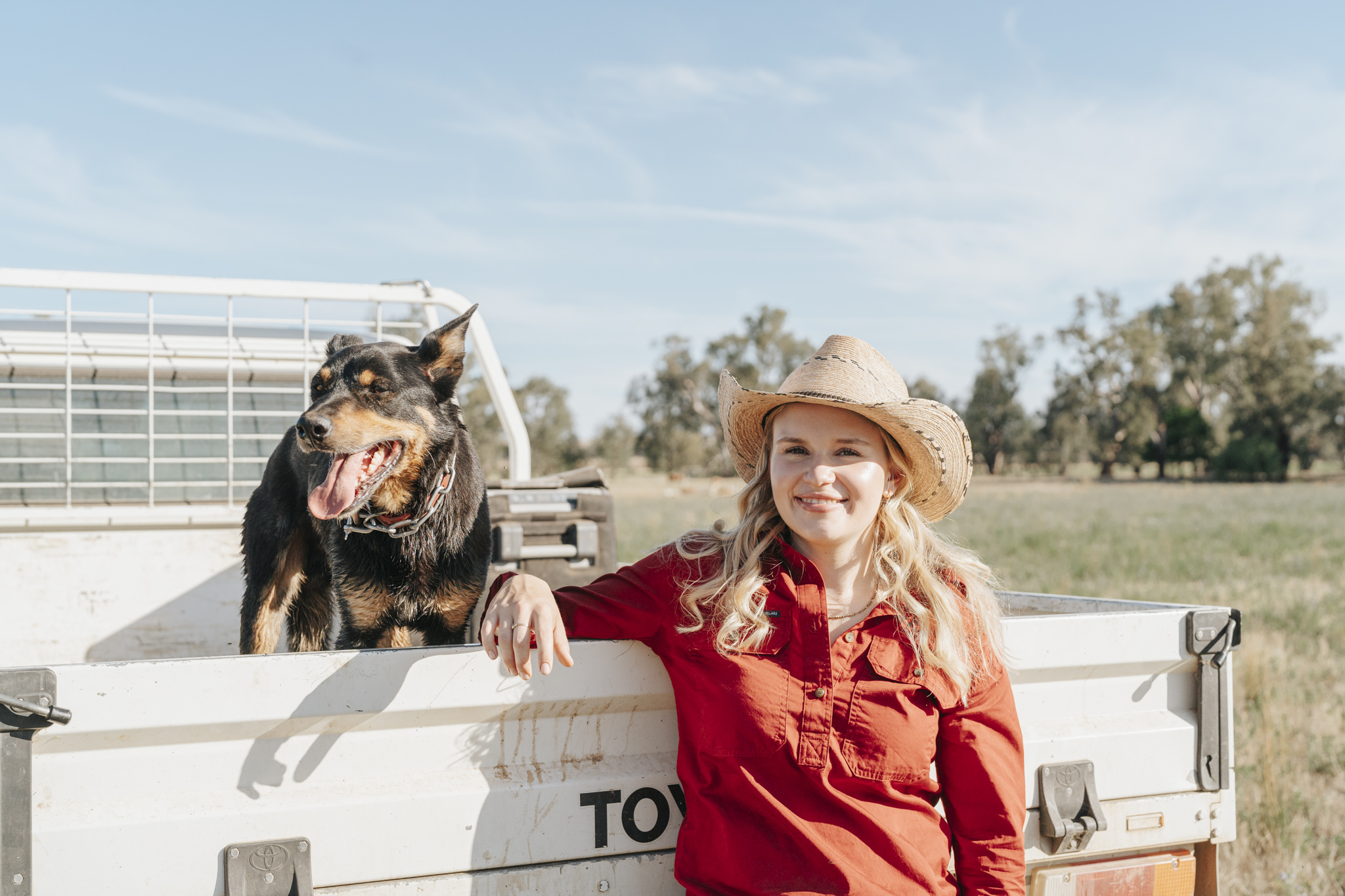 Holly Wilson is bringing smart data management practices to her family's poll dorset stud operation