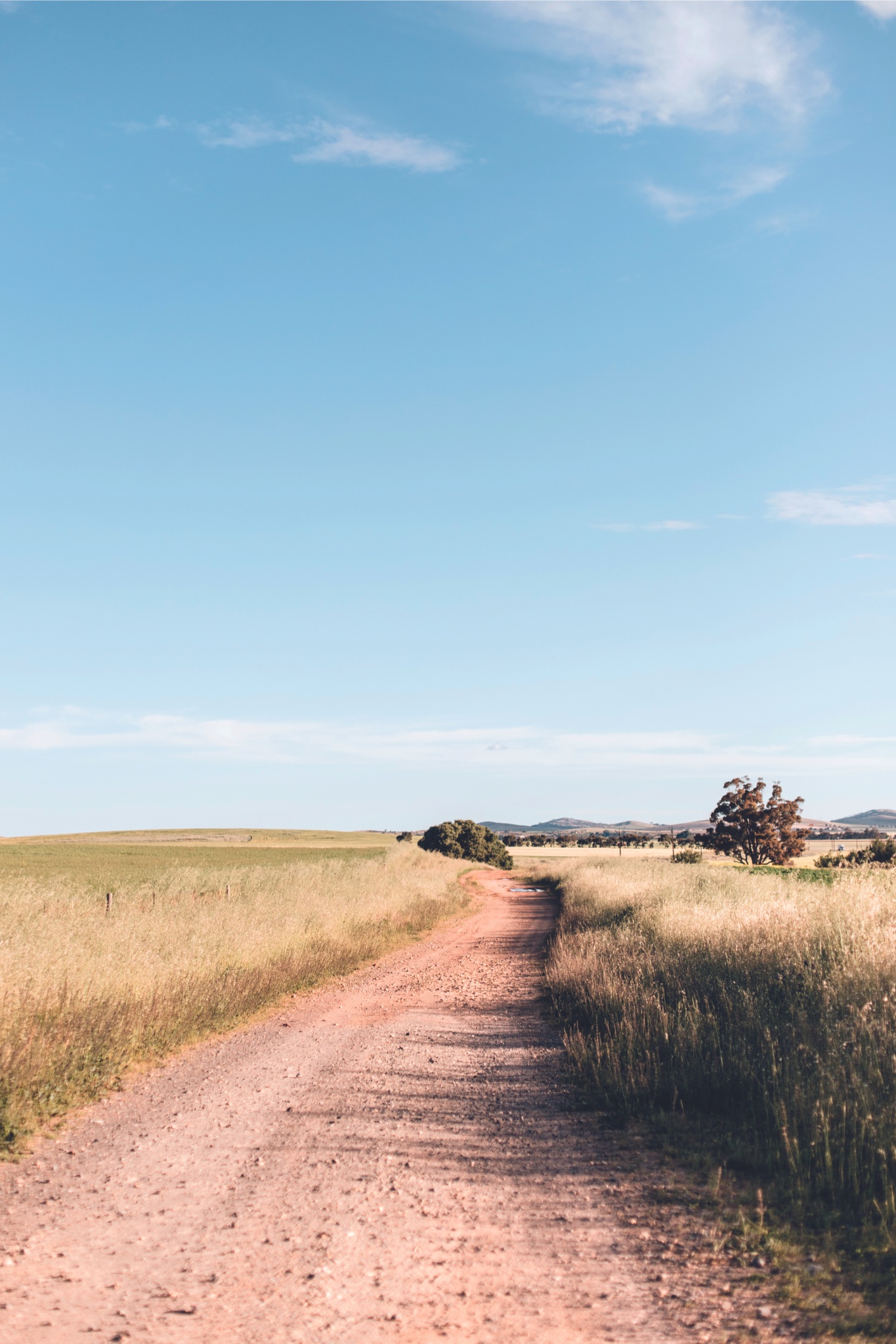 Predicting the weather is not an exact science — so how do we know who to trust?