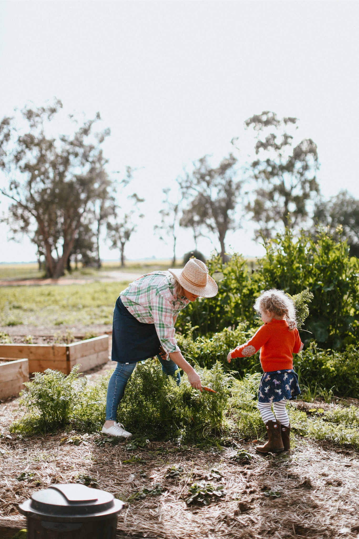 Moving to Trangie, NSW, spurred Claire Austin to start the Gin Gin Garden Club