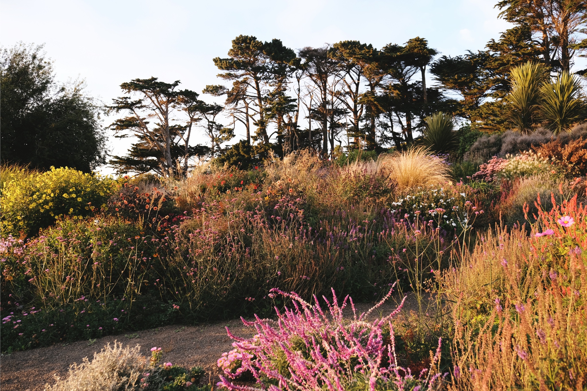 This New Zealand couple created a lush oasis at Fishermans Bay