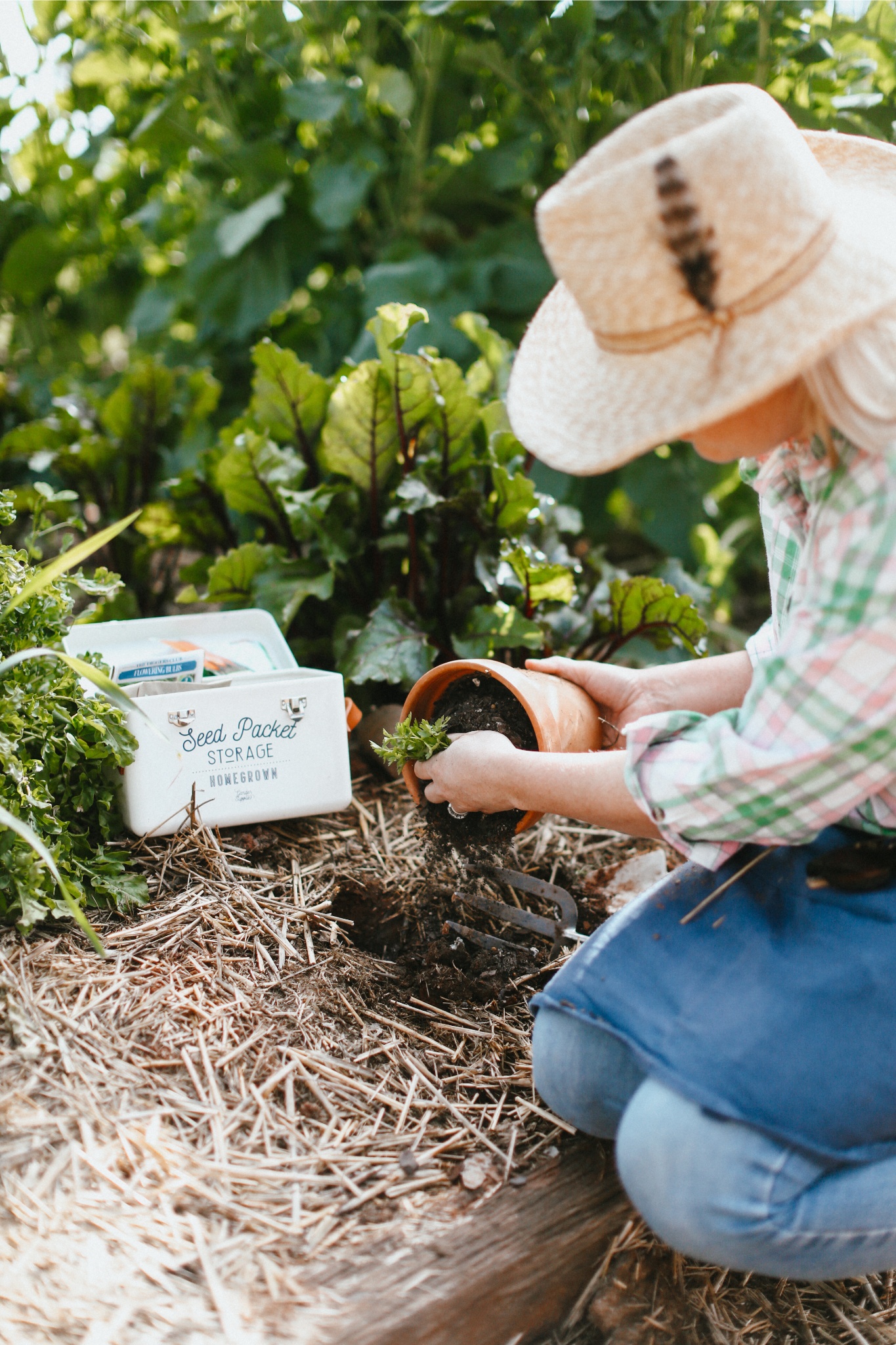 Gin Gin Garden Club’s Claire Austin shares some of her hard-earned gardening lessons