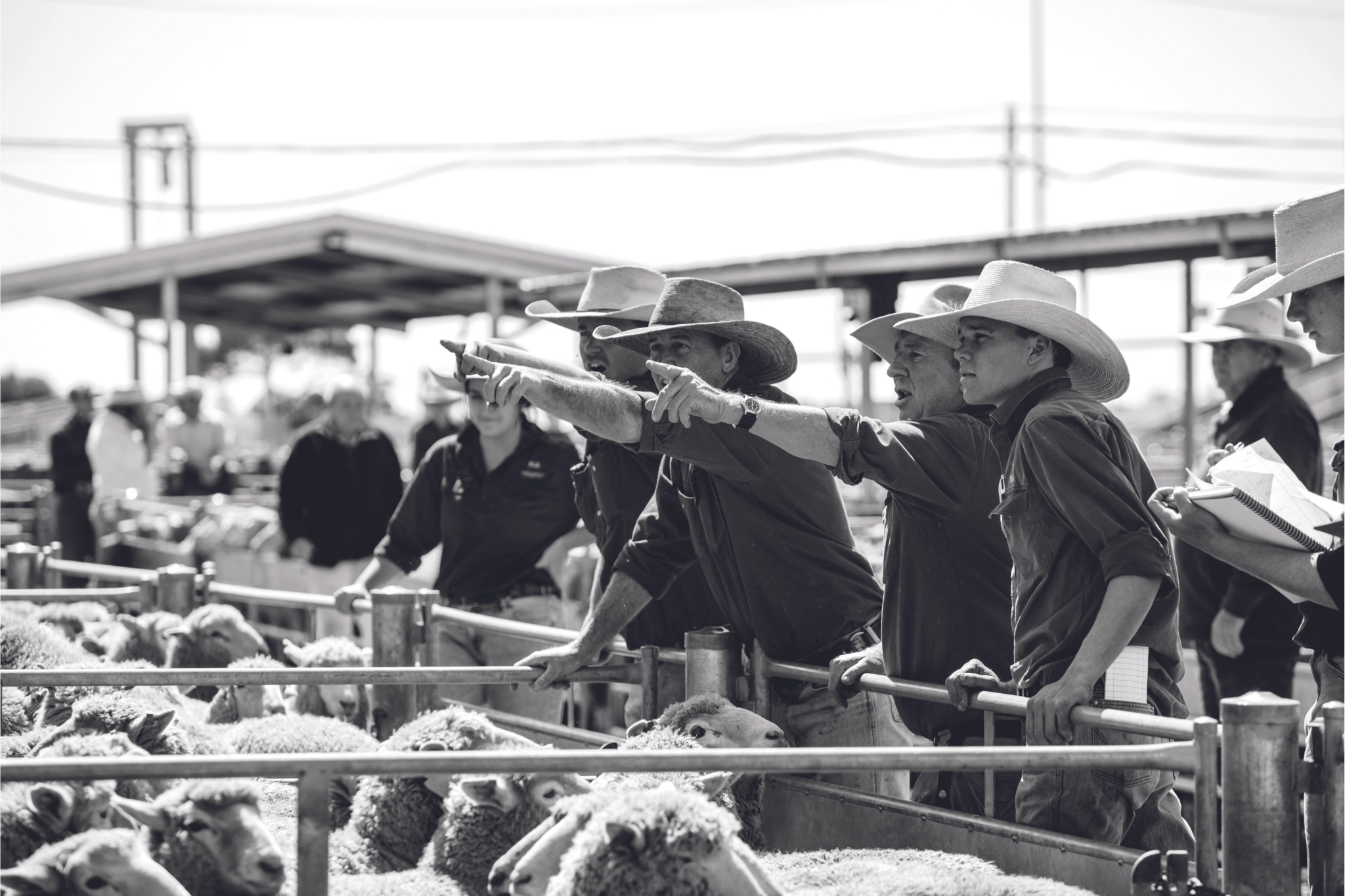 Life in the stockyards: the beauty of the bush, captured by Graziher readers