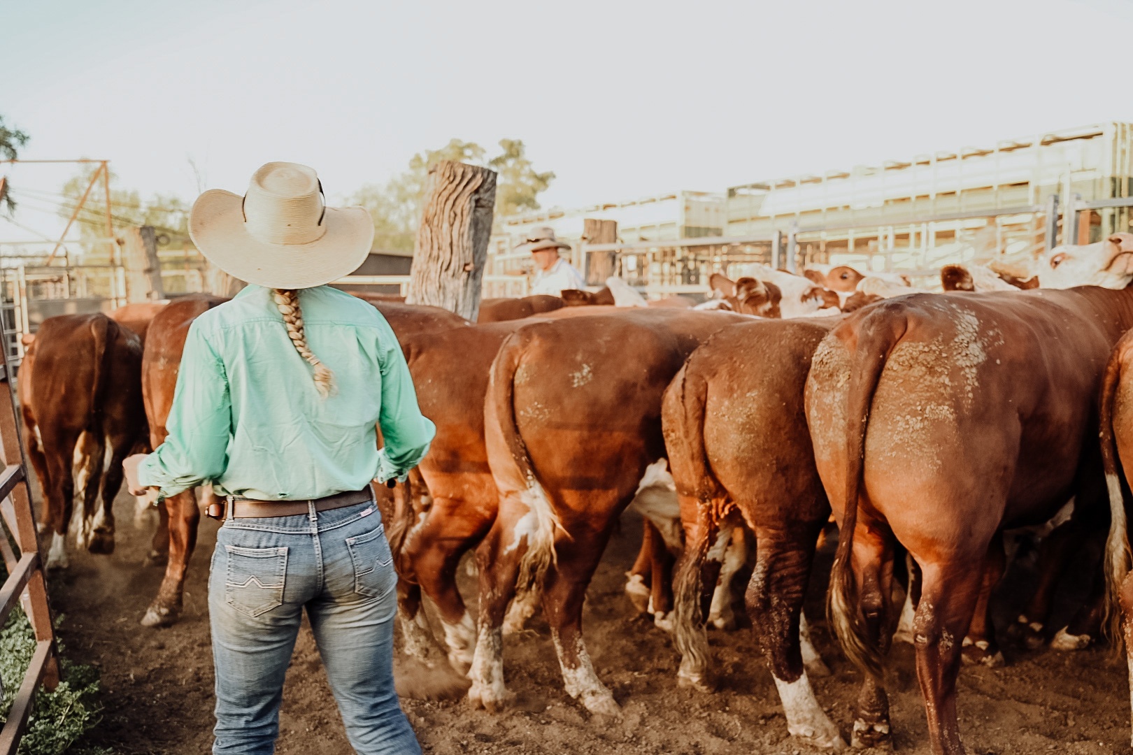 Anne-Maree Lloyd runs an organic Hereford cattle operation on the Barcoo River