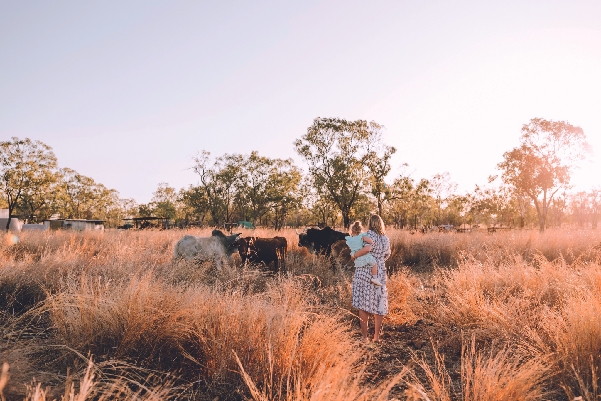 “You’re not guaranteed a baby.” What it’s like going through IVF in the bush