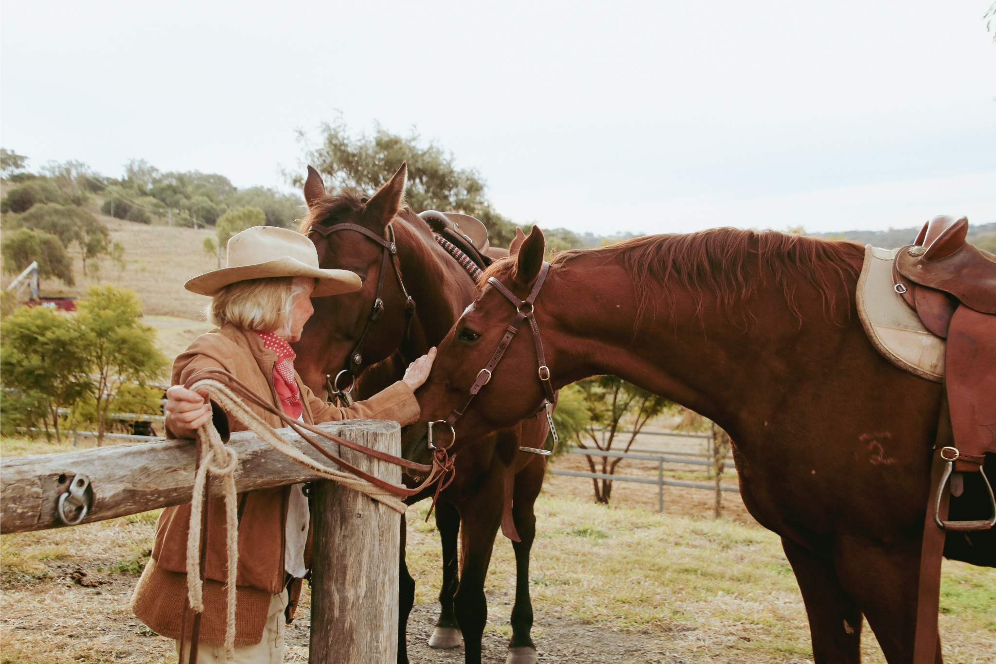 Madeline Curr finds herself entranced by her grandmother’s fairytale past