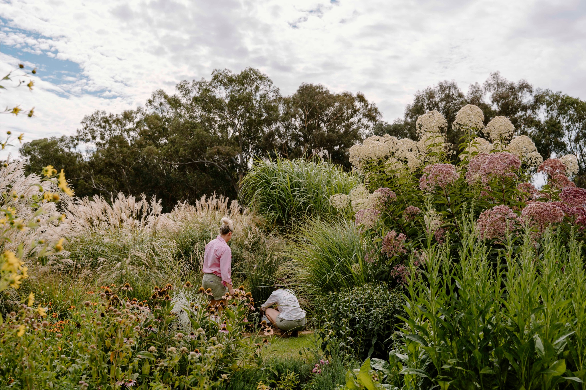 The father and daughter duo creating a perennial paradise at Ladysmith in New South Wales