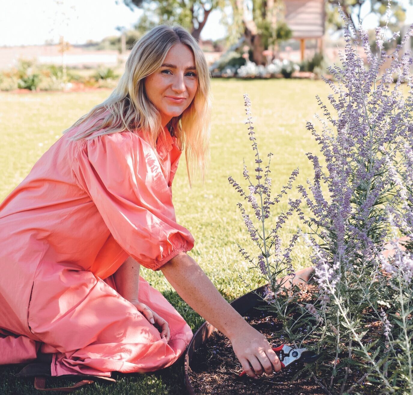 Gardening Q&A: Cassandra Hooke talks herbaceous perennials and groundcover options