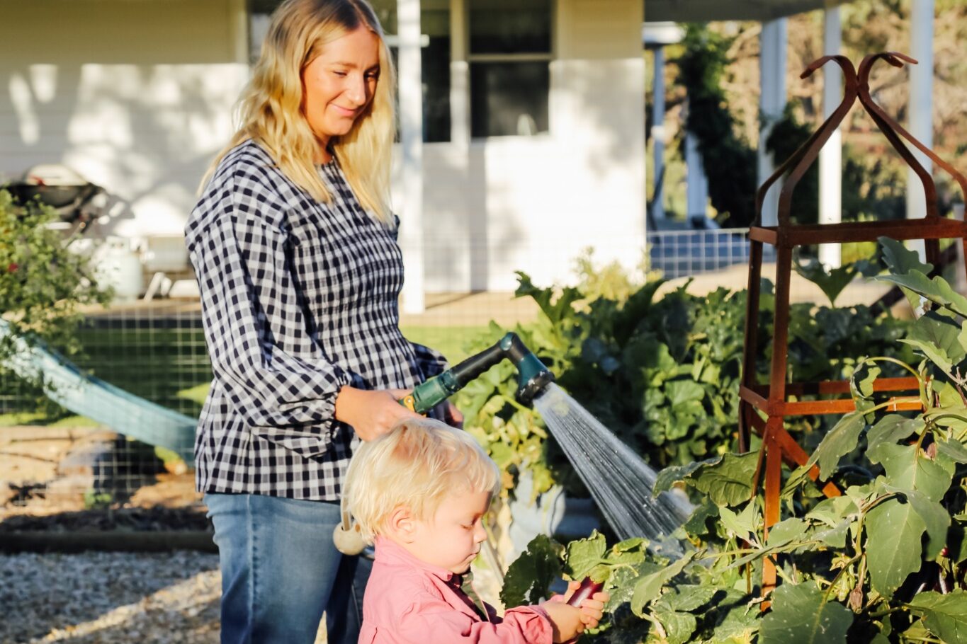 Gardening Q&A: What are the best frost-hardy plants for a cold climate?