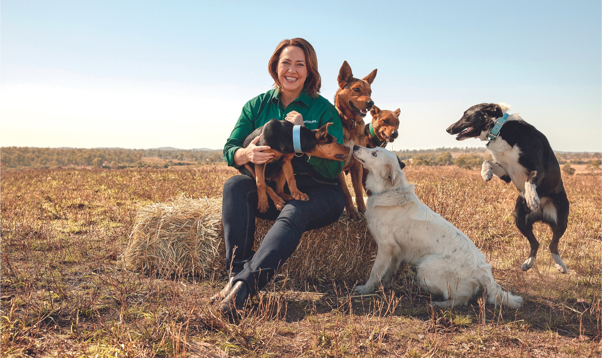 Lisa Millar on how she became the voice of hit television show Muster Dogs