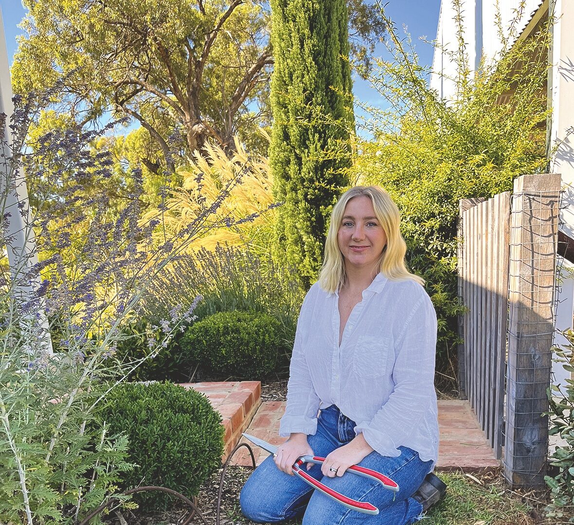 Staking, screening and a fast-growing ‘unicorn’ tree: Cassandra Hooke answers your gardening questions