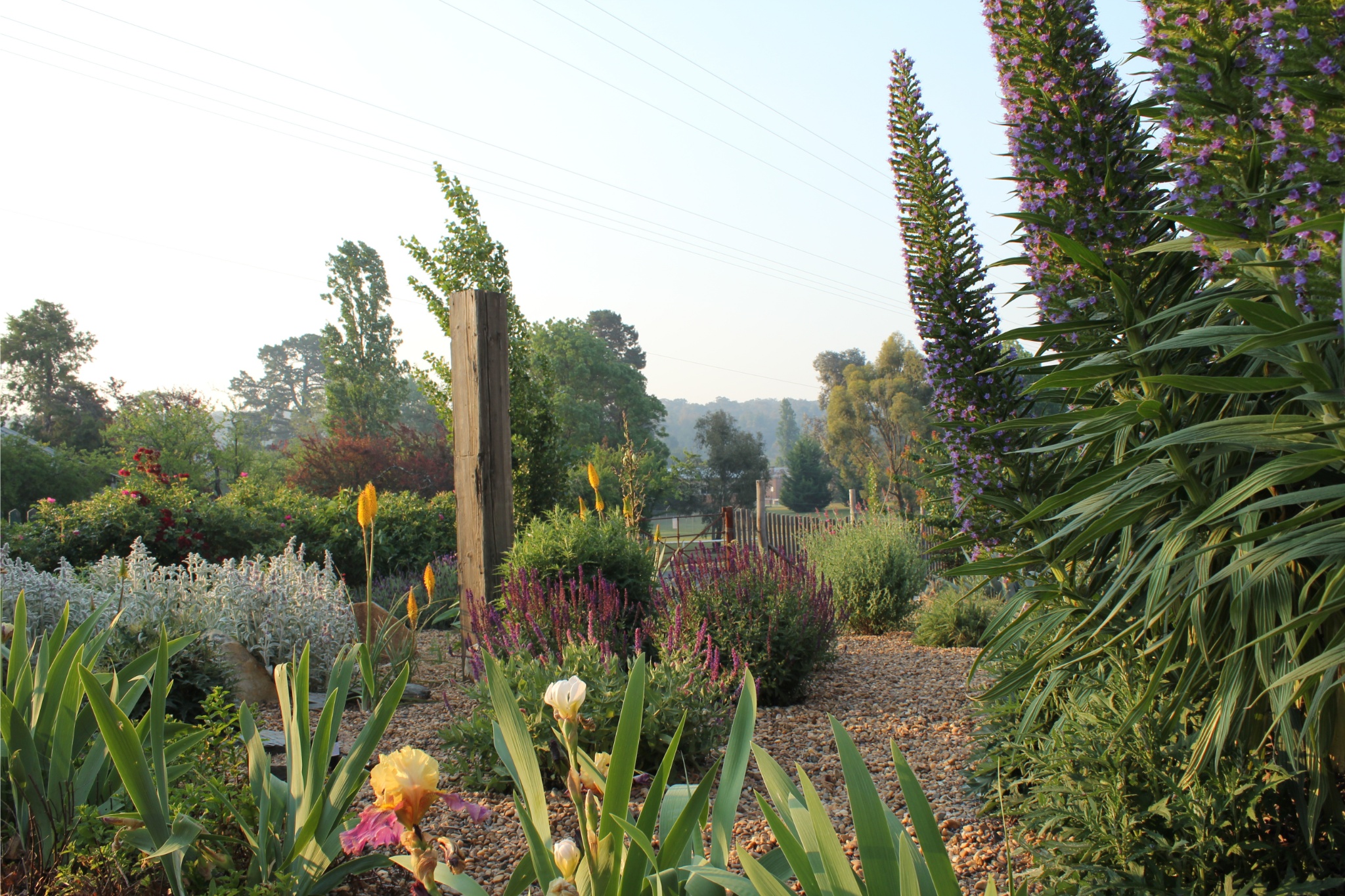 Ingrid Weir has created an enchanting garden in the  historic goldmining village of Hill End