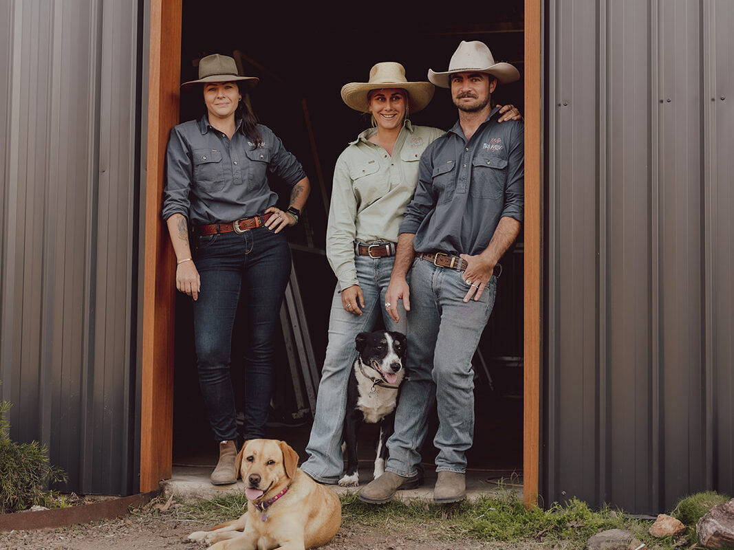 Anna Uhrig started The Brumby Project to train and rehome wild bush horses