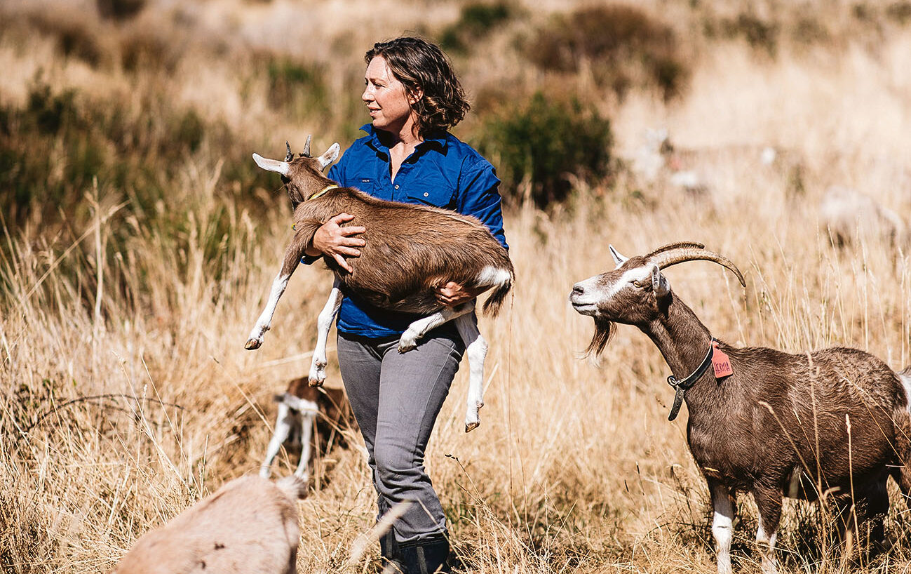 Is whey the secret to smooth skin? Doctor and farmer Kate Field is betting on it