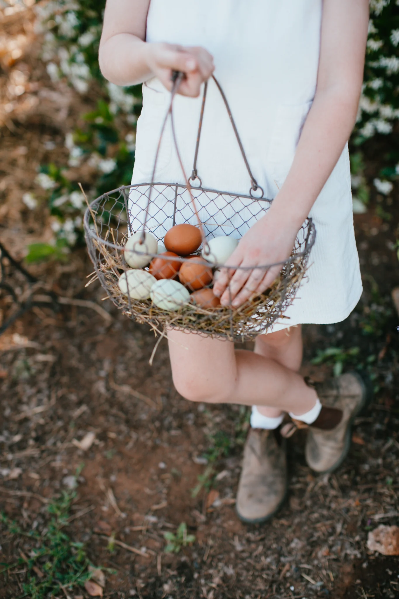 We love: Books, baskets and other treasures the Graziher team is coveting this month 
