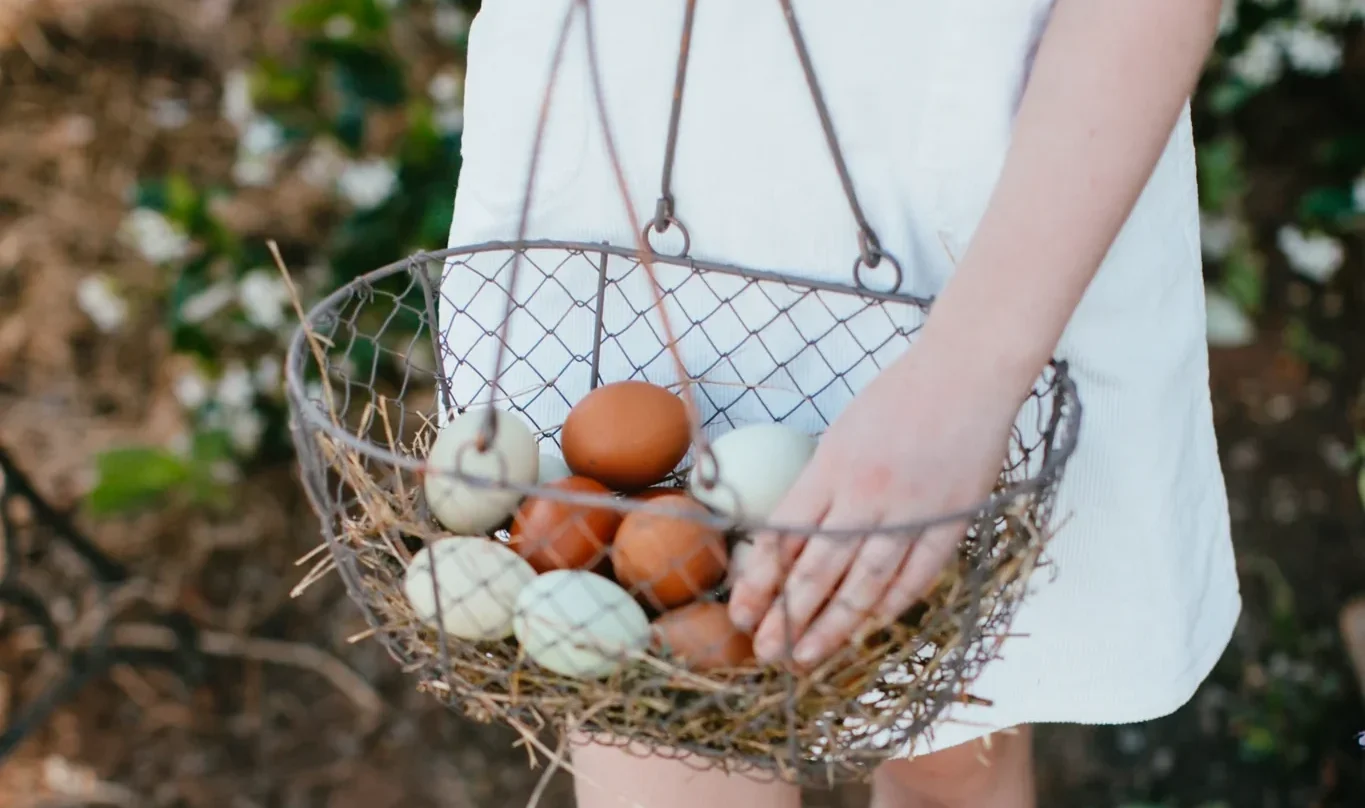 We love: Books, baskets and other treasures the Graziher team is coveting this month 