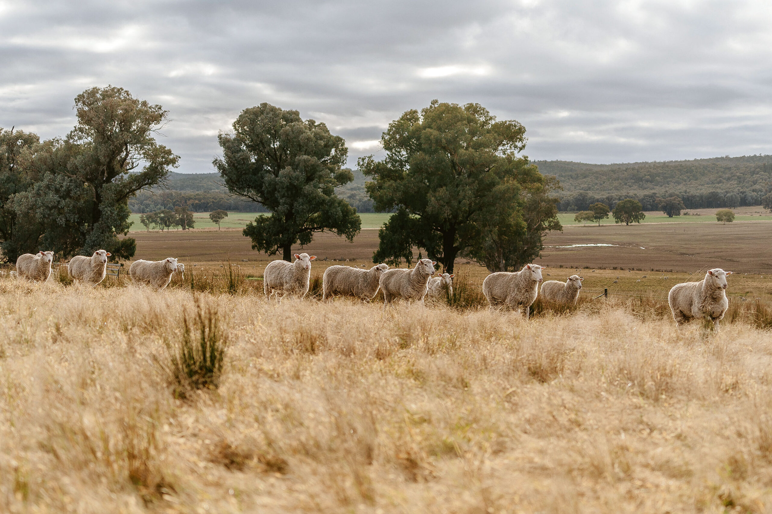 When time moves too quickly: Alexandra MacAlpine on savouring family time on Parkwood