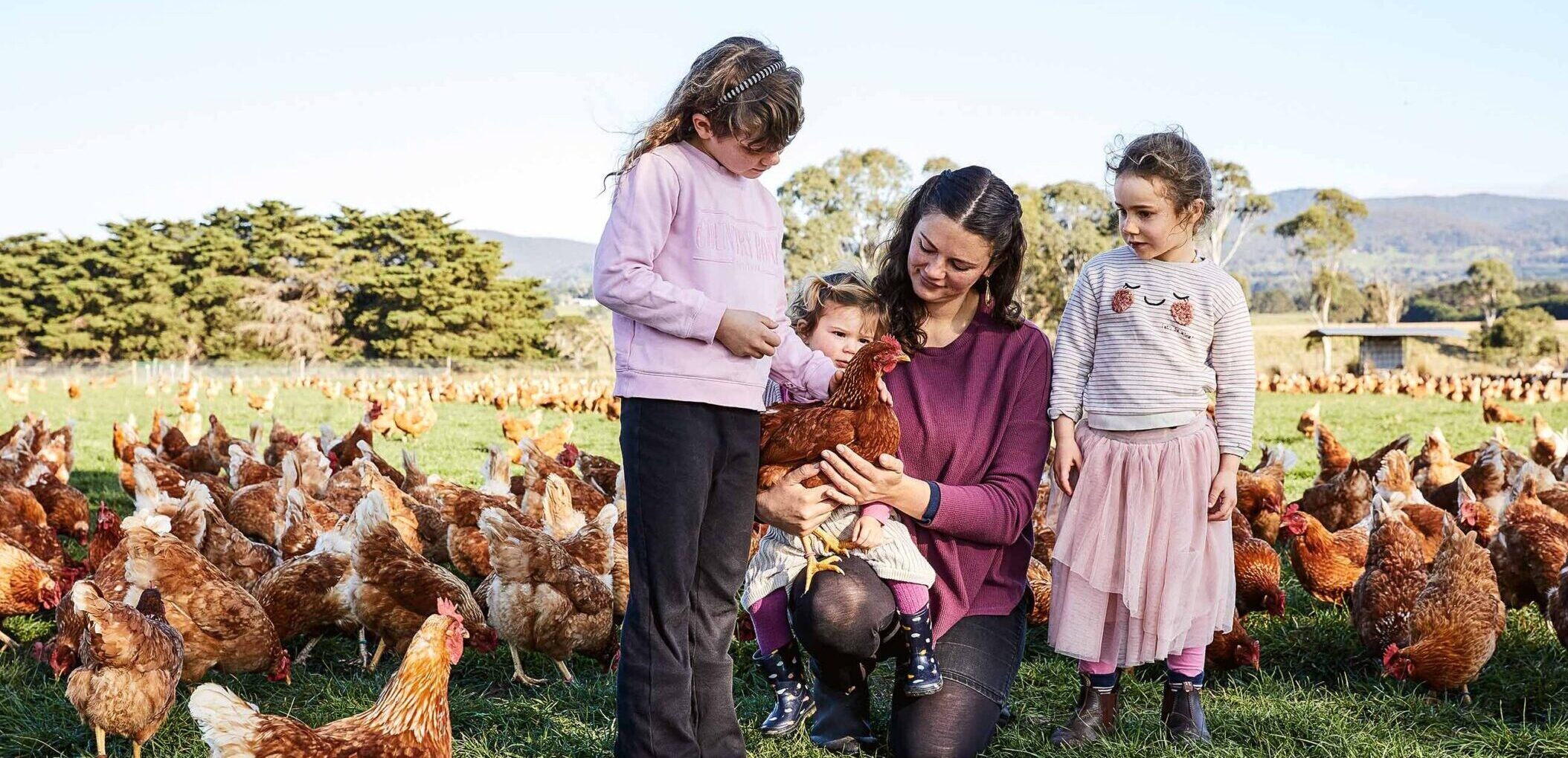 Madelaine Scott has been running her egg enterprise since she was eight years old