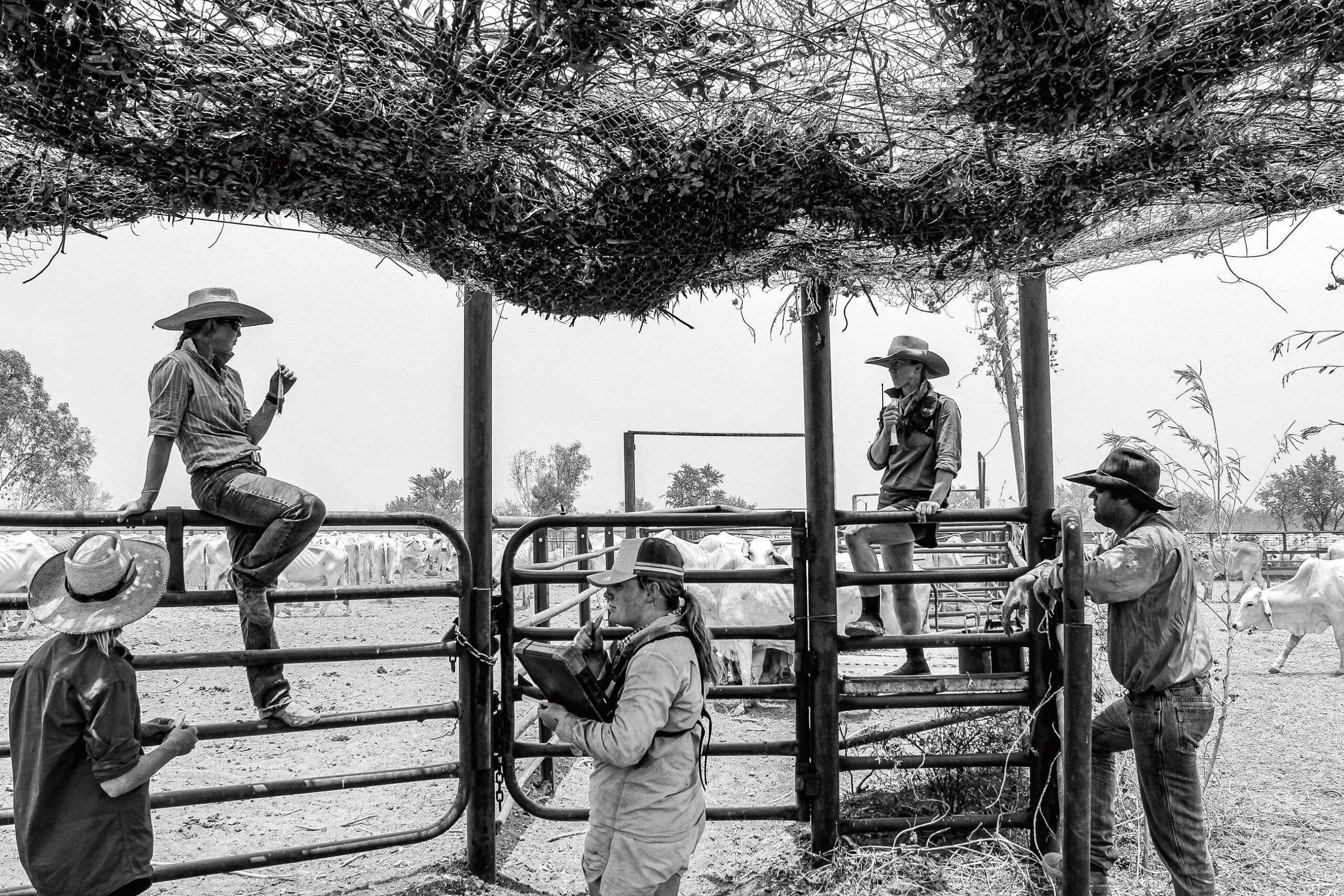 Alexandra Latter captures life on Pigeon Hole station in the NT