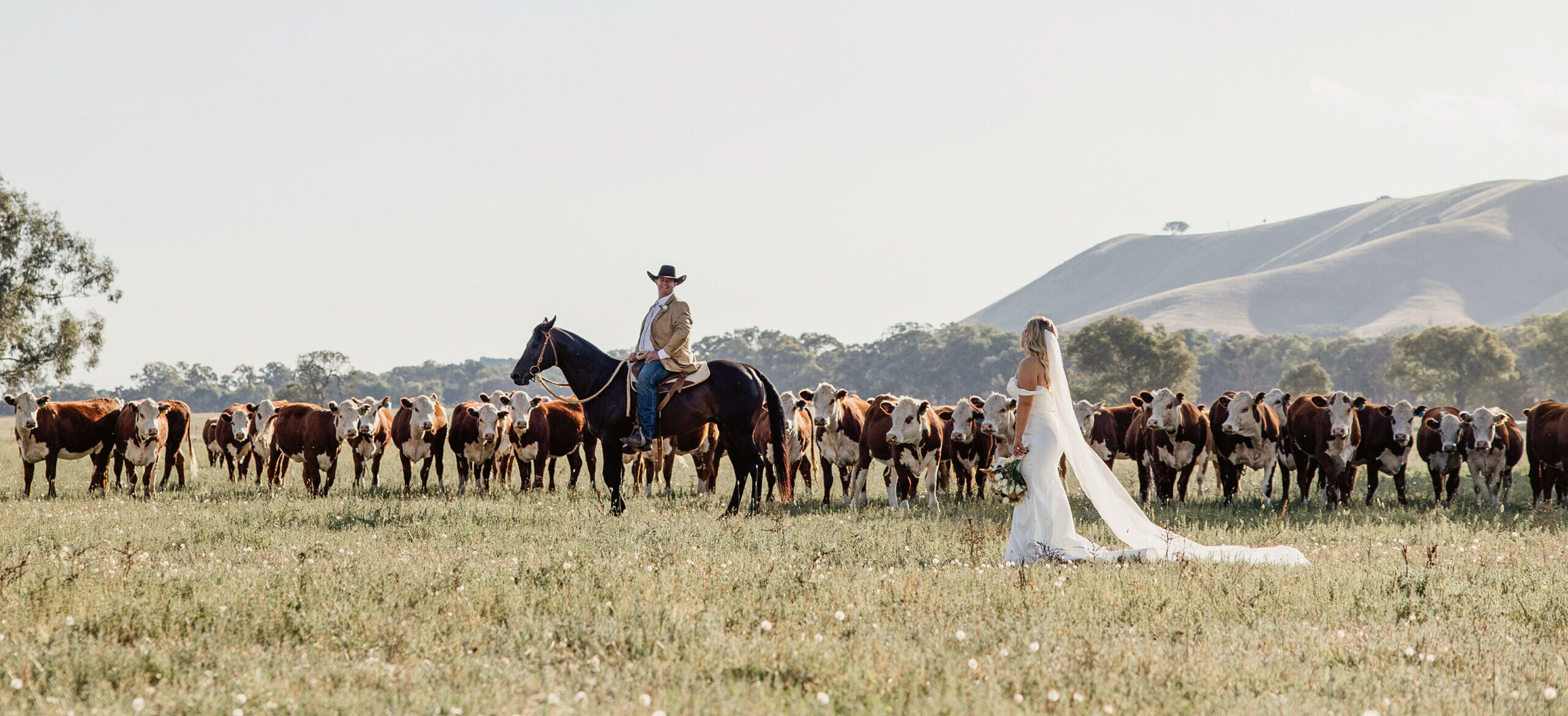 Stephanie and Nick made sure to include their horses in their wedding day