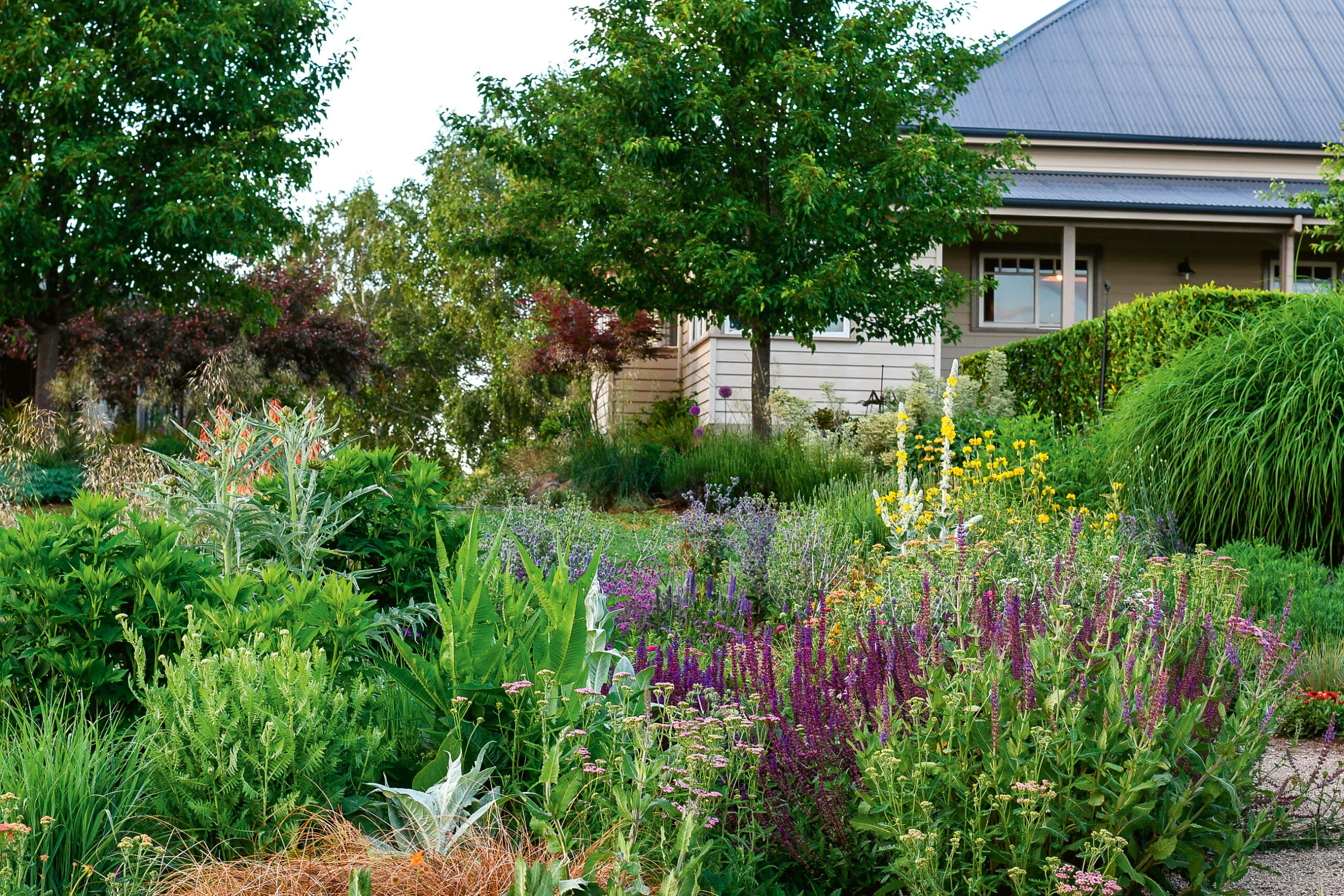 Colleen Southwell shares the inspiration for her tapestry-like garden