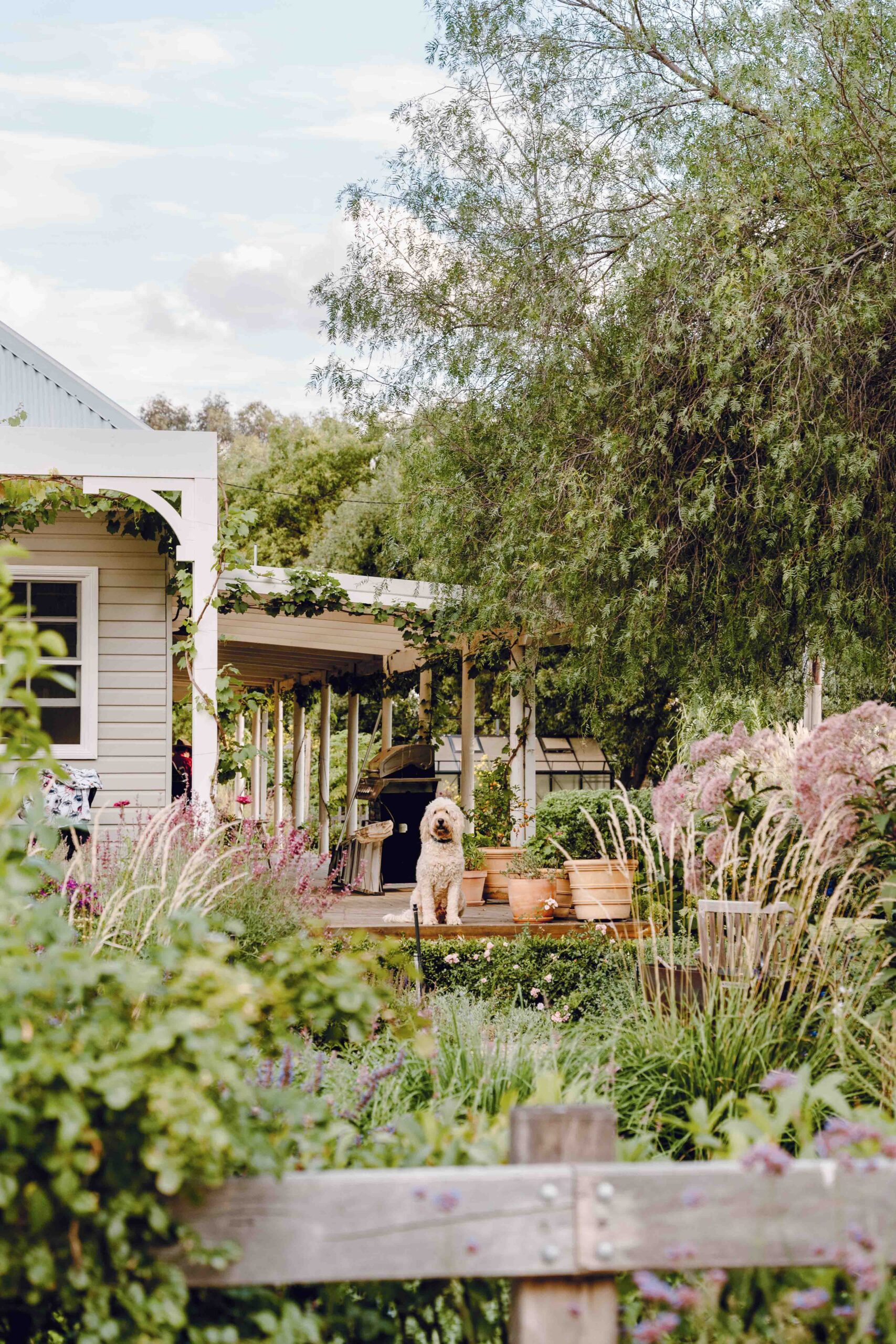The father and daughter duo creating a perennial paradise at Ladysmith