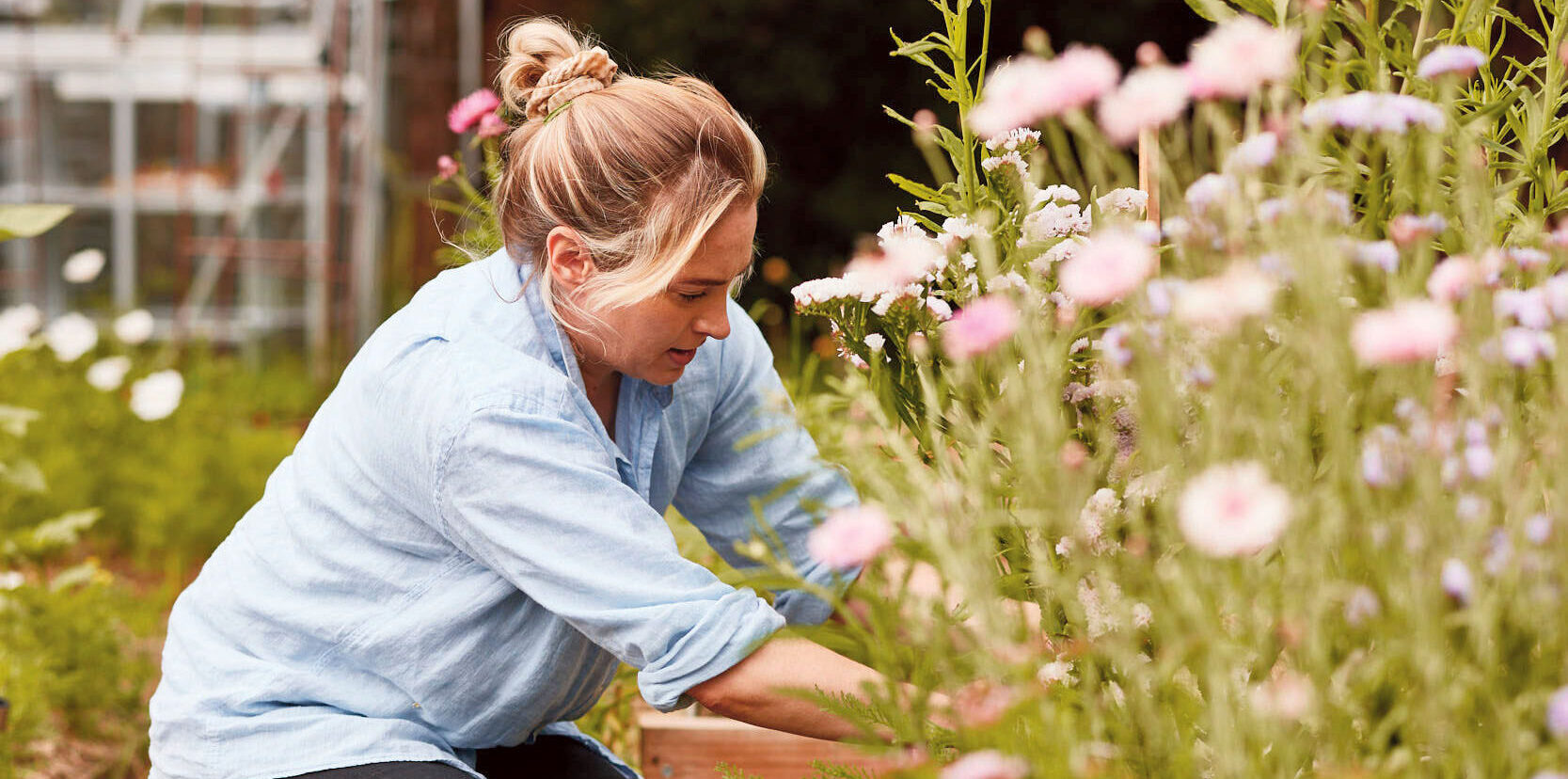 Rebecca Shelley’s online seed store specialises in rare varieties of cut flowers