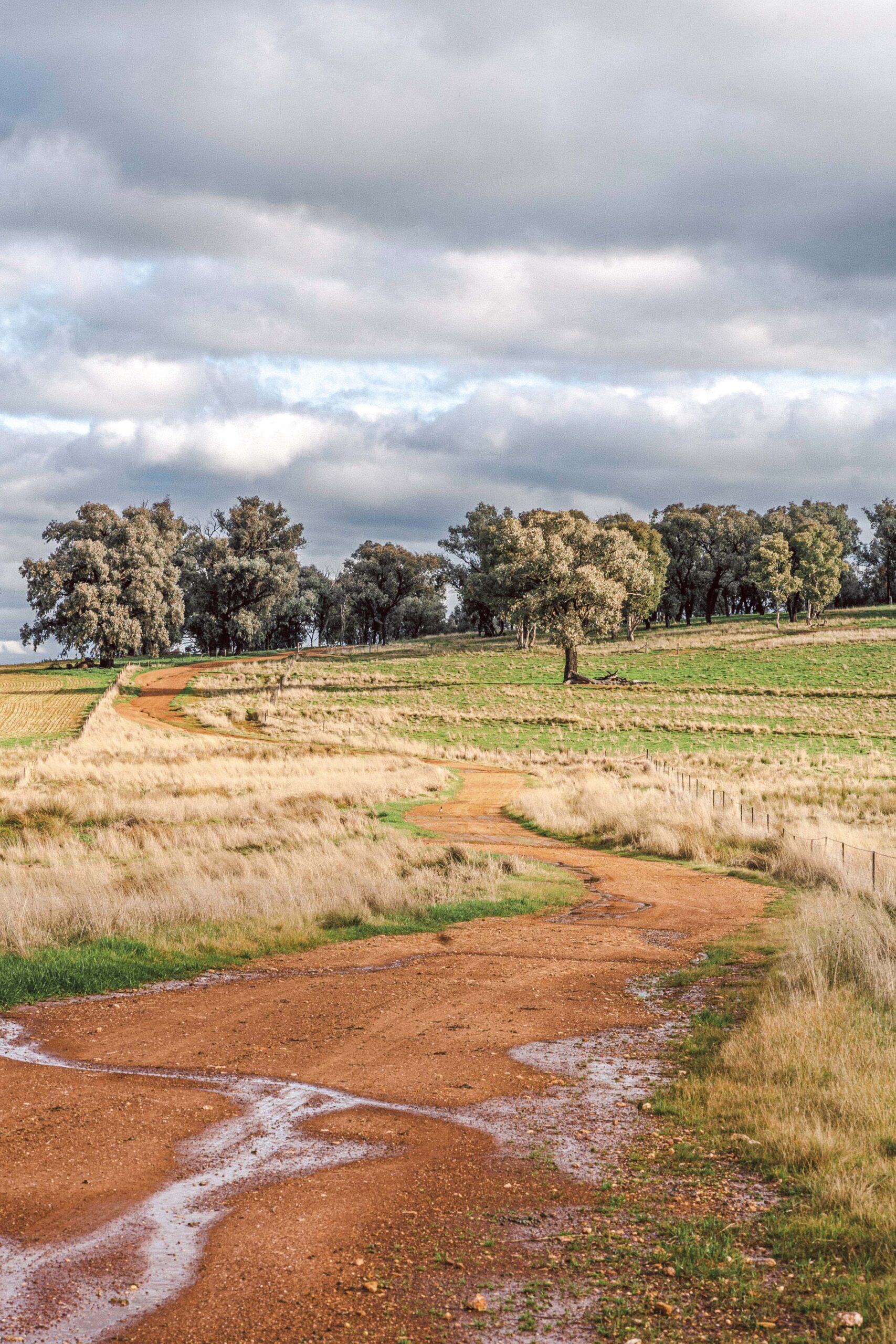 Abi Cook-Singh was once a young bride on a fourth-generation family farm