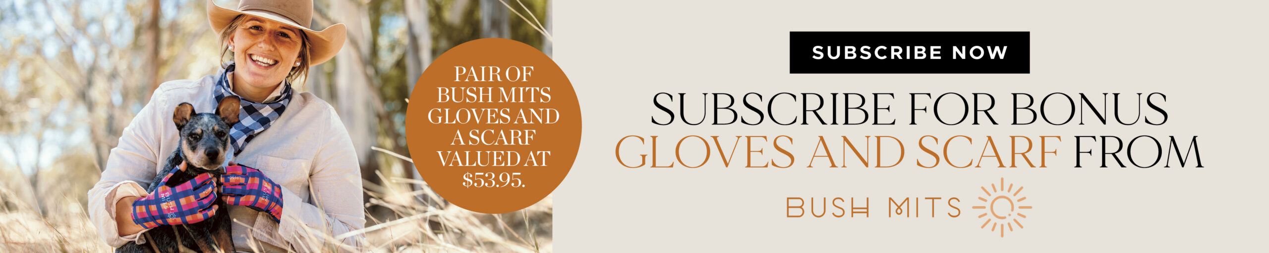 ads banner