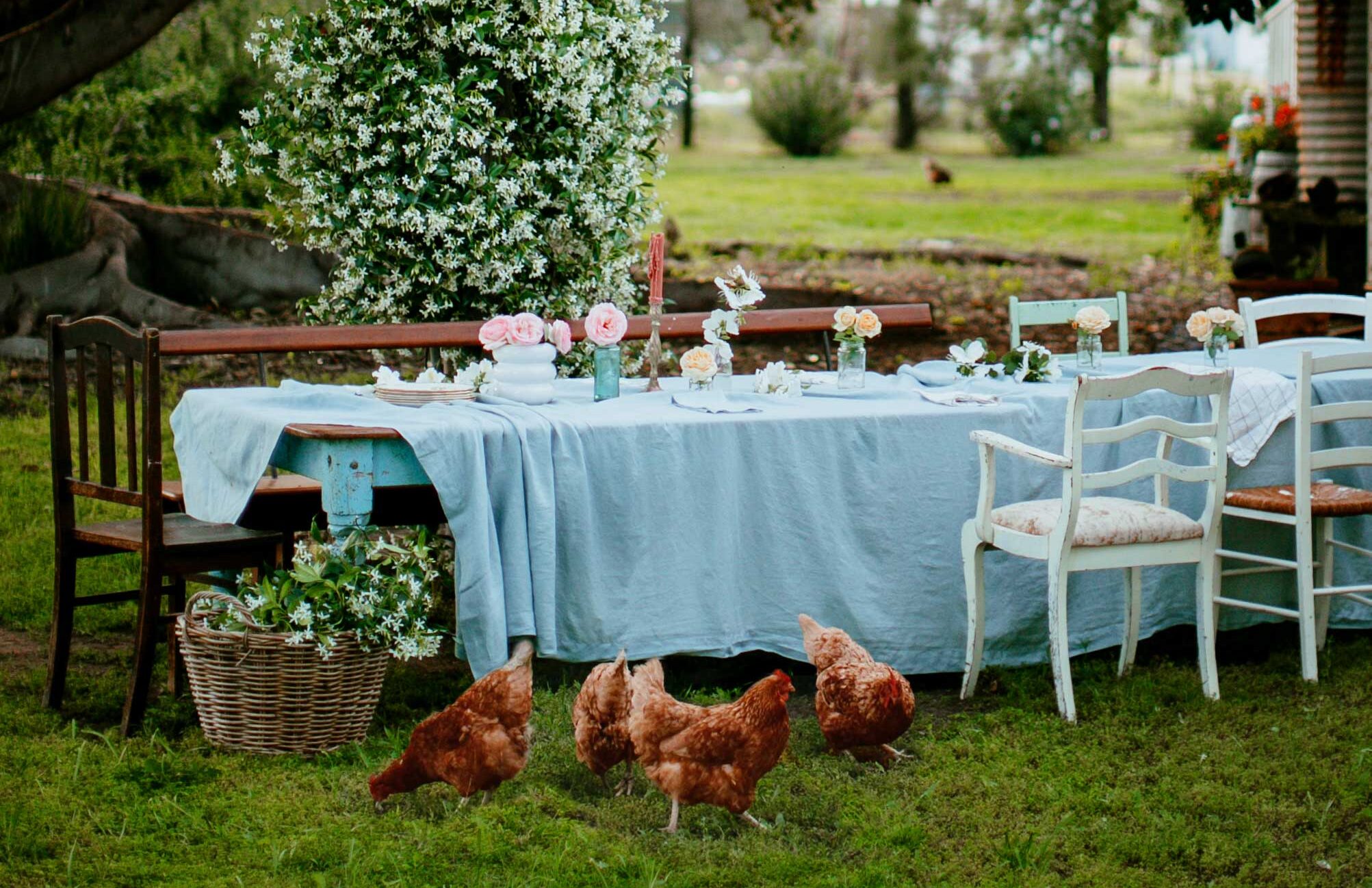 Long Lunch Linen